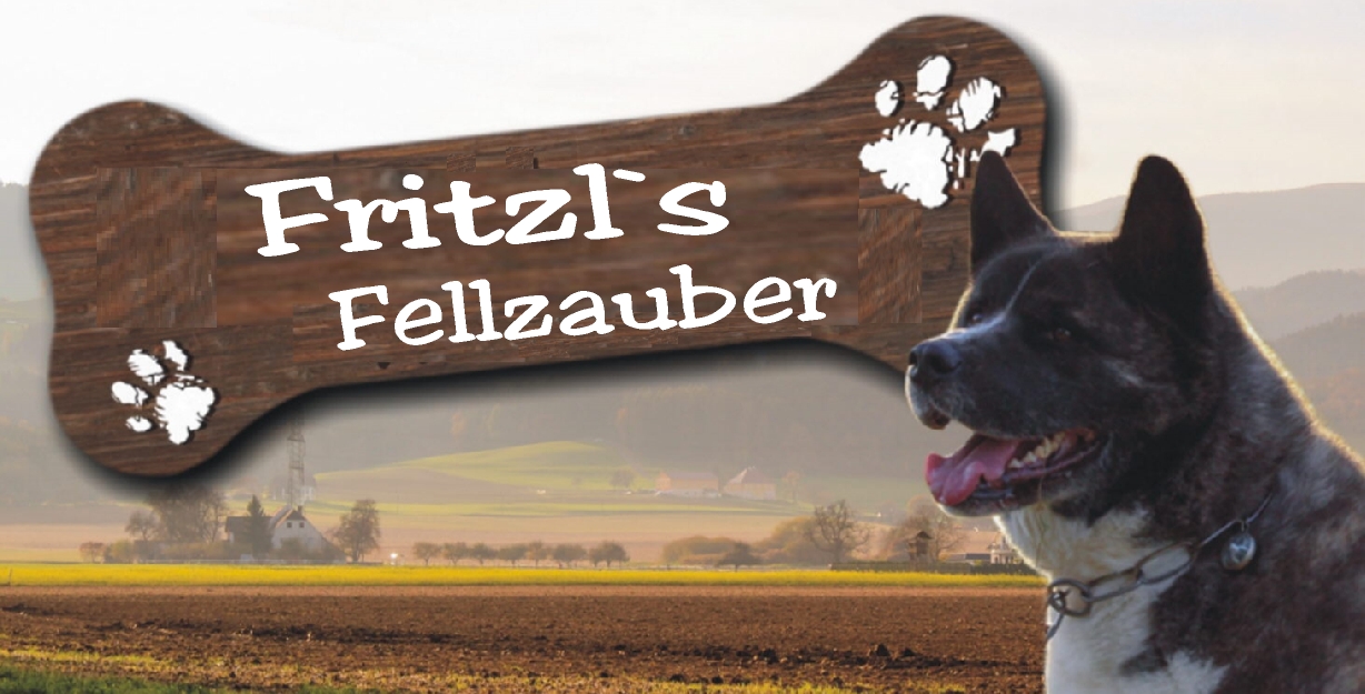 Glücklicher gepflegter Hund